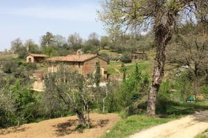 a house on the side of a hill with trees at Casa Lorenzo in Panicale