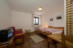 TV a/nebo společenská místnost v ubytování Hotel Garni Gonzaga