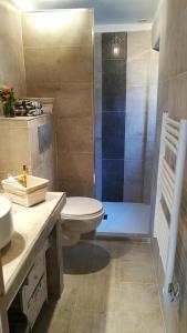 a bathroom with a toilet and a glass shower at La petite maison in Sisteron