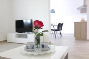 TV a/nebo společenská místnost v ubytování Apartments Nada