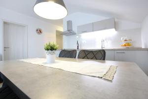 Kuchyň nebo kuchyňský kout v ubytování Apartments Nada