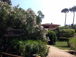 A garden outside Residence Renaione
