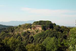 a house on top of a hill with trees at Villa Monterosoli in Palaia