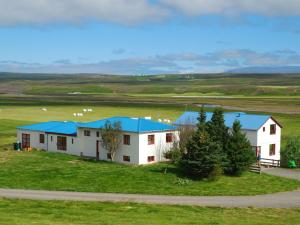 a white house with blue roofs on a green field at Brekkulækur Guesthouse in Laugarbakki