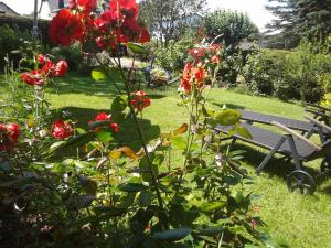 Zahrada ubytování FeWo Sonnenblume