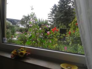 Zahrada ubytování FeWo Sonnenblume