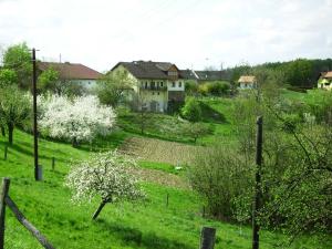 ein Feld mit weißen blühenden Bäumen und Häusern in der Unterkunft Spezialitätenhof Familie Eichmann in Neuhaus am Klausenbach