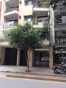 un árbol en una acera frente a un edificio en Borges Intimo en Buenos Aires