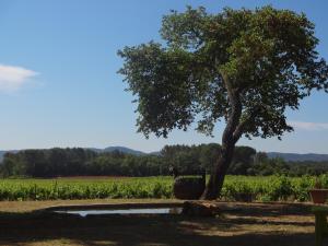 Fotografie z fotogalerie ubytování Chateau Nestuby v destinaci Cotignac