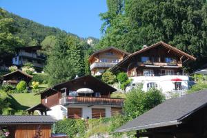 un grupo de casas en una colina con árboles en Jobin Brienz, en Brienz