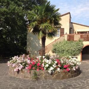 Zahrada ubytování Podere il Giurato