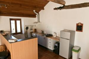 a large kitchen with a sink and a refrigerator at Domaine de Lasfonds in Rieupeyroux