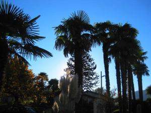 Aed väljaspool majutusasutust Villa Garni Gardenia