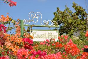 Jardin de l'établissement Castlevue B&B