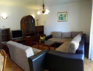 salon z kanapą i telewizorem w obiekcie Apartment Stelia w mieście Mednjan