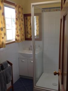 a bathroom with a shower and a sink at Fergies Hill Spa Cottage @ Granite Ridge Wines in Ballandean