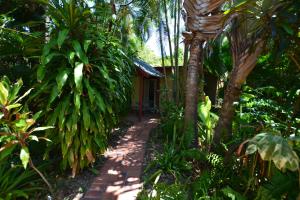 Garden sa labas ng Shambhala Retreat Magnetic Island Cottages