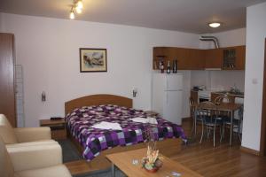 um quarto com uma cama e uma cozinha com uma mesa em Studio Moni em Pamporovo