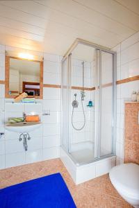 a bathroom with a shower and a toilet at Haus Alois in Sölden