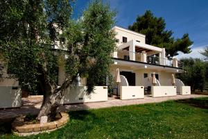 a white house with a tree in front of it at B&B Zia Nì in Peschici