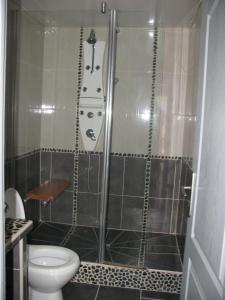 een badkamer met een douche en een toilet bij Gite MARTIN in Grabels