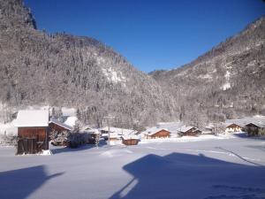 Chalet Narcisse v zimě