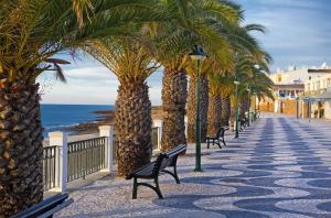 a row of palm trees on a sidewalk next to the beach at Calheta 25 in Luz