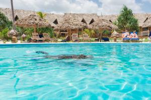 a sea turtle in the water at a resort at Zanzibar Queen Hotel in Matemwe