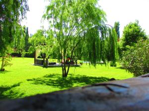 Um jardim em Pilgrim's Rest - Descanso del Peregrino