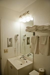 W łazience znajduje się umywalka i lustro. w obiekcie Downtown San Diego Lodge w mieście San Diego