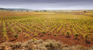 Fotografie z fotogalerie ubytování Alojamiento Turístico La Tinaja v destinaci Requena