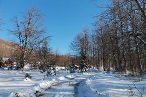 a snow covered road in a field with trees at Holiday Home Edi in Delnice