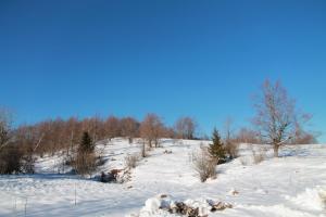 pokryte śniegiem wzgórze z drzewami w obiekcie Holiday Home Edi w mieście Delnice