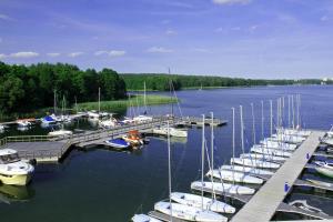 Fotografia z galérie ubytovania DK Apartament Grunwaldzki v destinácii Olsztyn