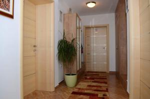 Fotografia z galérie ubytovania Apartments Villa Split v destinácii Krapinske Toplice