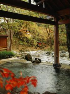 a hot spring in a garden with snow and trees at Kinseikan Seseragi in Minakami