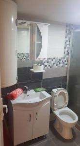 a bathroom with a toilet and a sink at Pestani Apartment in Peštani +1 photo