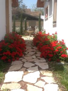 Gallery image of BellaTroun Chalet in Kefar Bin-Nun