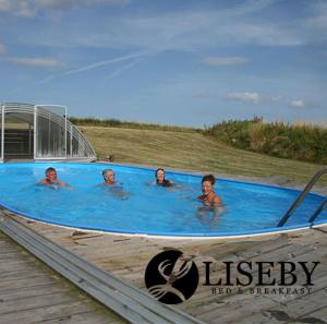 un grupo de personas en una piscina en Liseby Bed & Breakfast en Stege