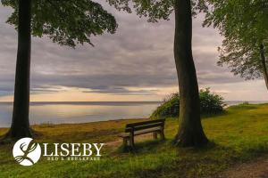 un banco del parque sentado entre dos árboles cerca del agua en Liseby Bed & Breakfast en Stege