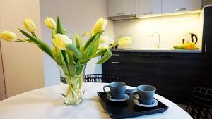 Fotografia z galérie ubytovania DK Apartament Grunwaldzki v destinácii Olsztyn