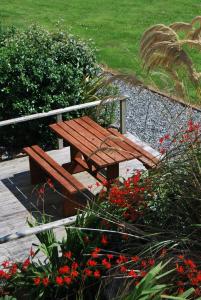 a wooden bench sitting in a garden with red flowers at Dolphin Hotel in Inishbofin