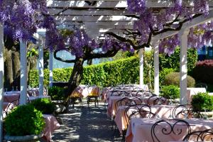 Zahrada ubytování Hotel Florence