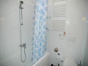 a bathroom with a shower and a toilet and a tub at Apartment Royale in Dubrovnik