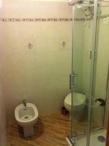 リオ・マリーナにあるRaffaella Apartmentのバスルーム(トイレ、ガラス張りのシャワー付)