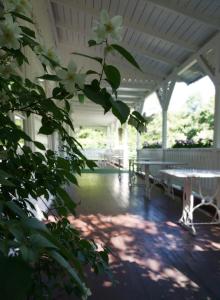 een veranda met banken en een boom met witte bloemen bij Dworek Aleksandria in Ciechocinek