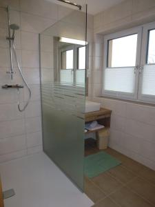シュラートミンクにあるFerienhaus u. Appartement Knaussのバスルーム(ガラスドア付きのシャワー付)