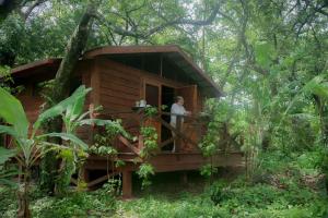 a person standing in a tree house in the woods at Mombacho Lodge in Granada