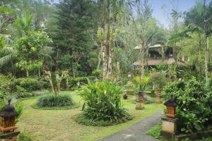 a garden with many plants and a house in the background at Alam Indah Ubud in Ubud