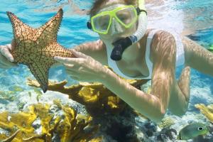 Hosté ubytování Pari Solata Seaview Homestay Syariah